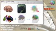 VIDEO: Population Models in The Virtual Brain (TVB) and the Phase Plane