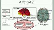 VIDEO: Linking molecular pathways and large-scale computational modeling to assess candidate disease mechanisms and pharmacodynamics in Alzheimer’s disease